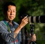 麻豆av在线免费-刷屏扰民的数字迷雾，网络视频成人内容的社会警钟