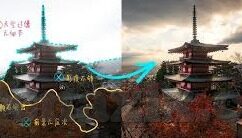 麻豆传媒免费入口-麻豆传媒的数字化影响力——透视与解析