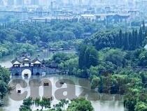 麻豆文化传媒免费版-艳舞云端，麻豆文化传媒免费版的深度沉醉
