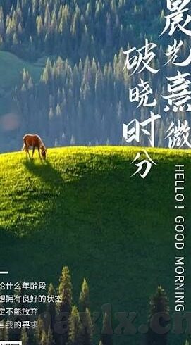 麻豆映画自制传媒-品味新视界，麻豆映画自制传媒的独特魅力