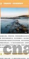免费av在线麻豆-本文将穿越到互联网多元化的今天，去探索那些在人们口中偶尔提及又时常规避的灰色地带——免费av内容平台和麻豆现象的背后故事