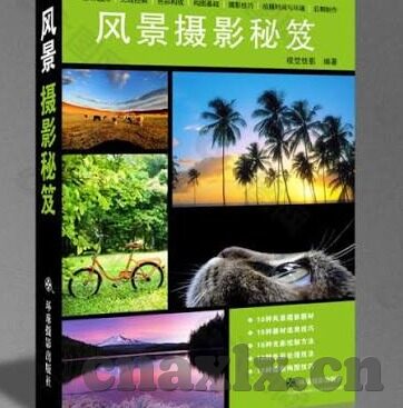 欧美经典三级中文字幕-欧美经典三级电影的魅力探索，中文字幕下的文化交融与艺术欣赏