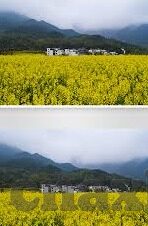 人妻不伦旅行-探寻人妻不伦旅行的背后，爱与责任的纠葛