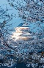 日韩亚洲国产成人av-探索日韩亚洲国产成人AV的多元文化视角
