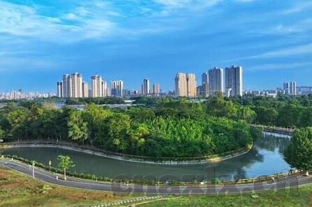 外国成人中国视频-跨文化视角下的外国成人内容在中国视频平台的传播与影响