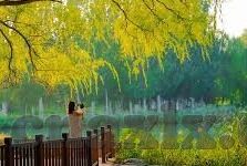 在线播放无码av含麻豆-直击无码av的在线新窗口